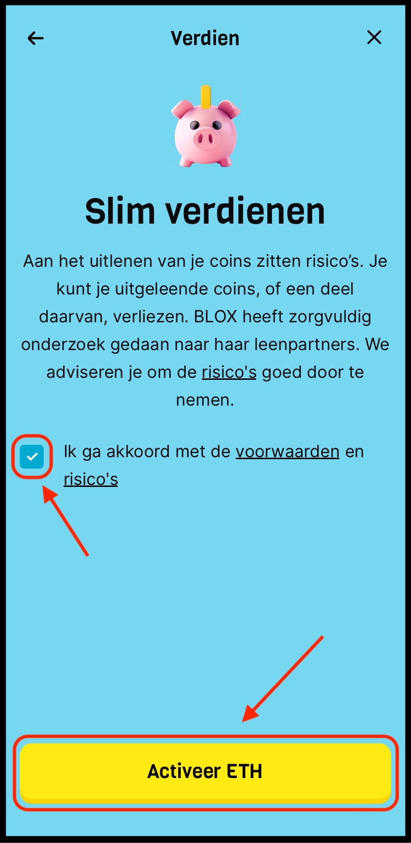 Activeer Verdien 4.jpeg